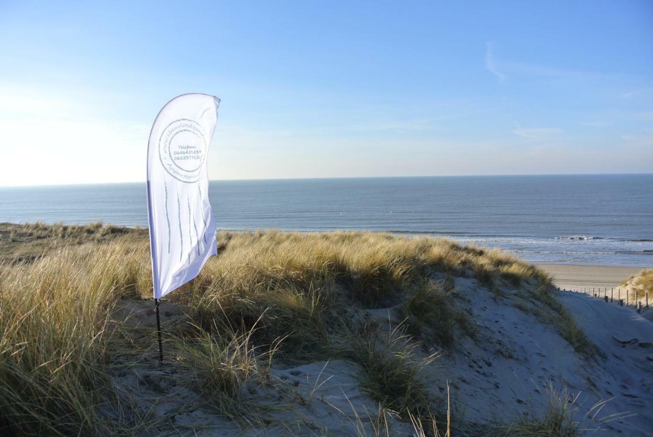 Appartement 'T Souterrain Zandvoort Dış mekan fotoğraf